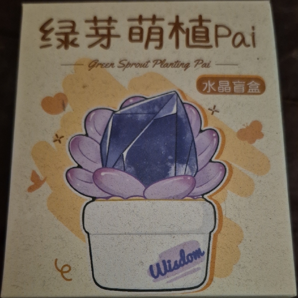 Green Sprout Planting Pai Blindbox